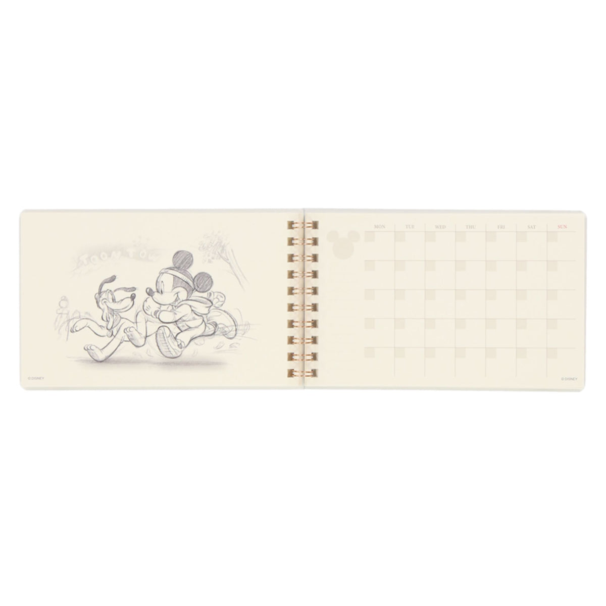 Planner: Mickey Mouse and Friends