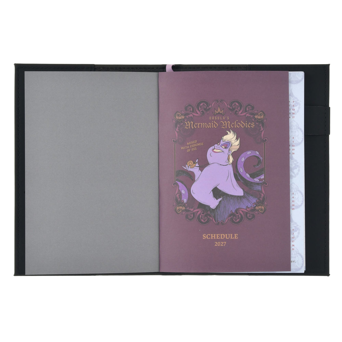 Disney Villains Planners and Schedulers B6 Embossed CALENDAR & ORGANIZER 2027