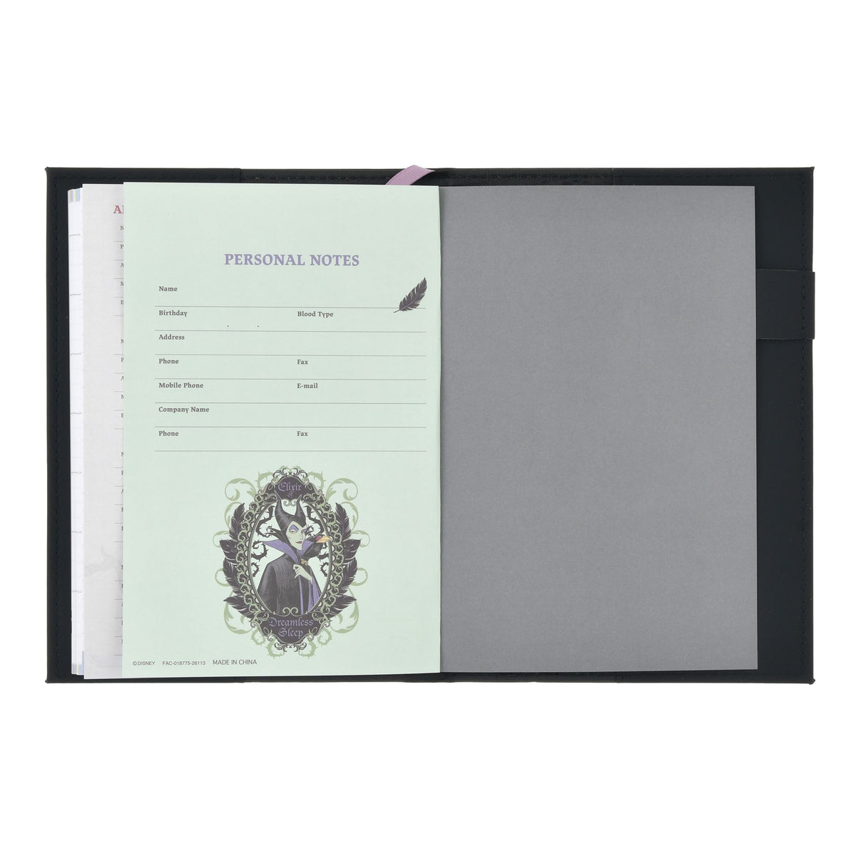 Disney Villains Planners and Schedulers B6 Embossed CALENDAR & ORGANIZER 2027