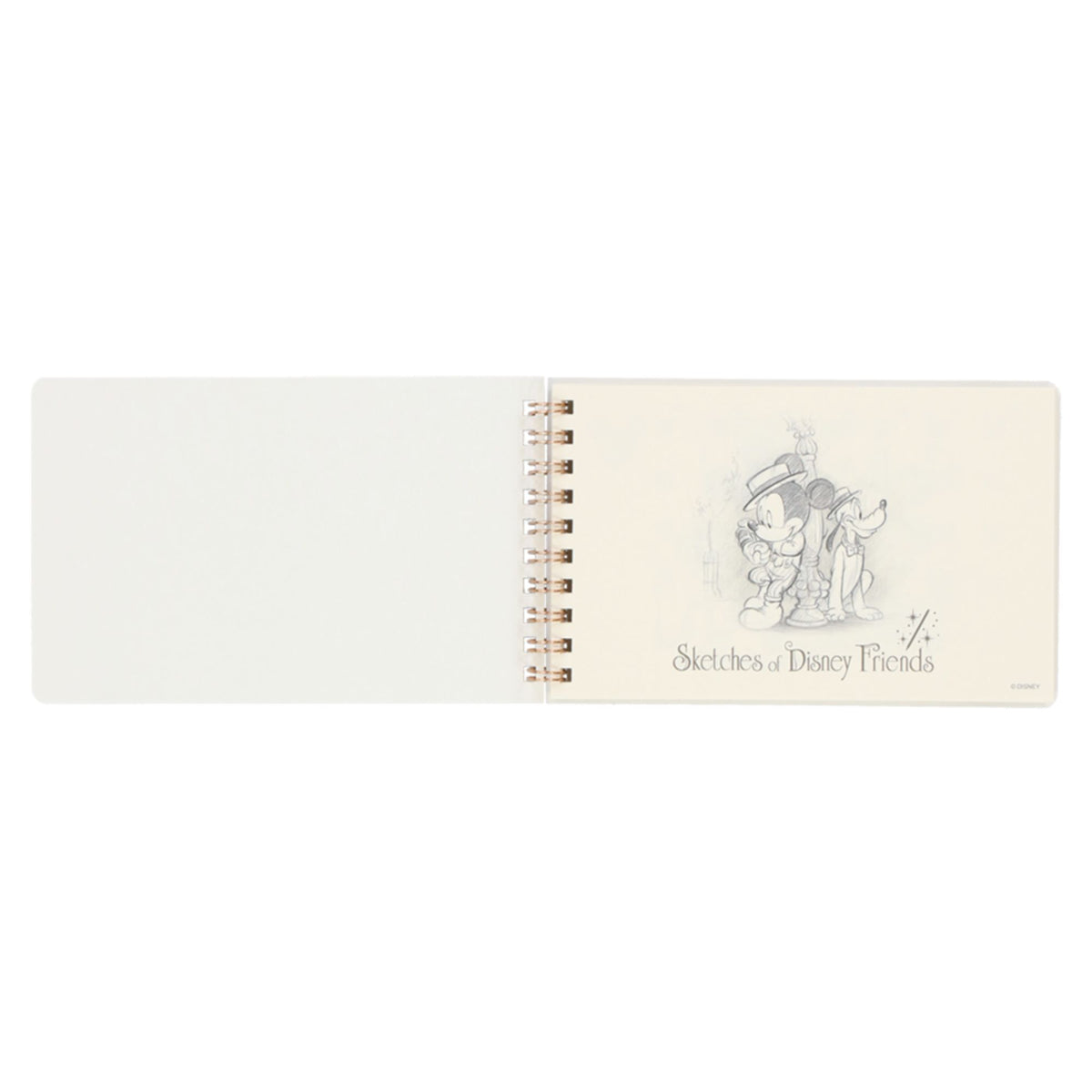 Planner: Mickey Mouse and Friends