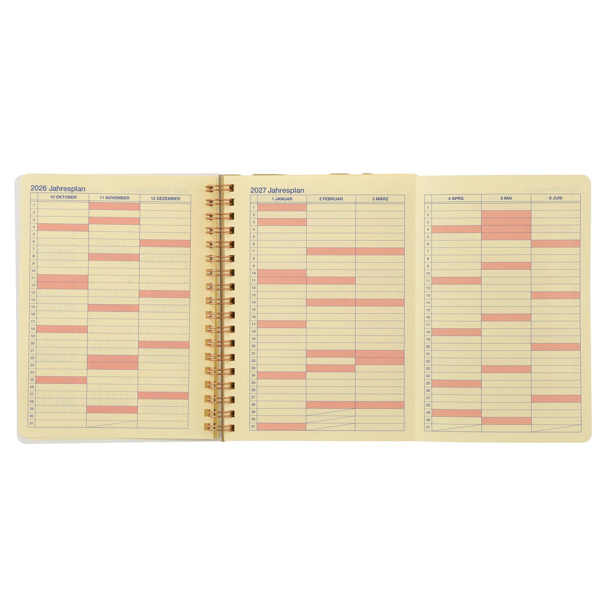 [Delphonix] Minnie & Friends Rollbahn Diary L Planner & Schedule Book CALENDAR & ORGANIZER 2027