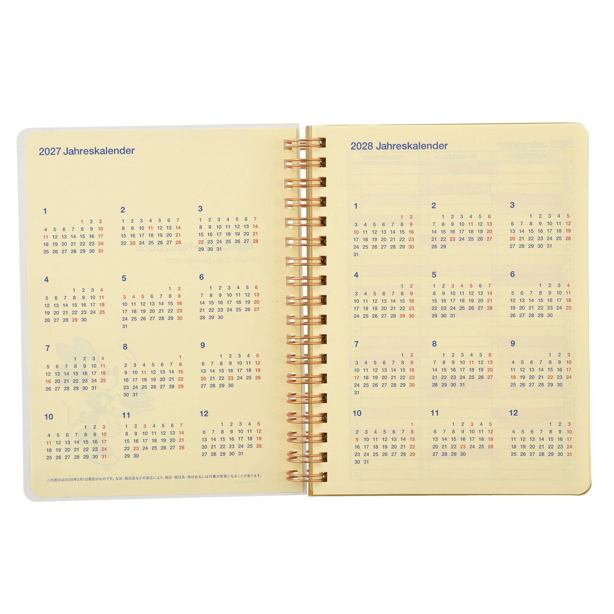 [Delphonix] Minnie & Friends Rollbahn Diary L Planner & Schedule Book CALENDAR & ORGANIZER 2027