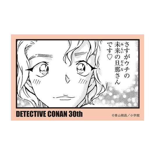 Sticker Collection - Detective Conan 30th Anniversary