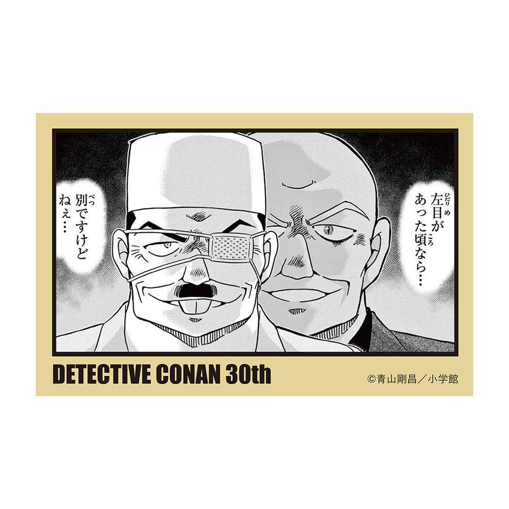 Sticker Collection - Detective Conan 30th Anniversary