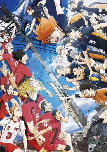 Haikyuu!! Movie Magazine 