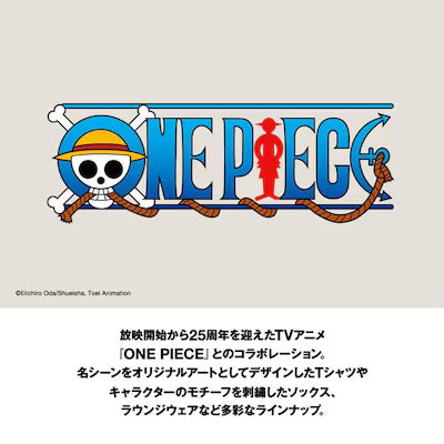 TV Animation One Piece 25th - One Piece Socks