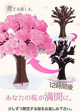 قم بتحميل الصورة في عارض الصور، شجرة الساكورا السحرية - Yorozuya Store