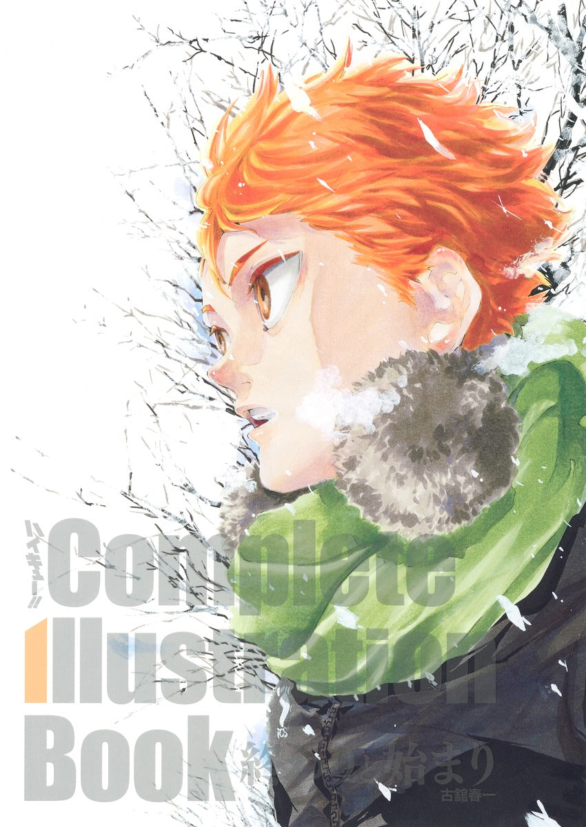 Haikyu Complete Illustration book